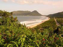 Armacao beach
